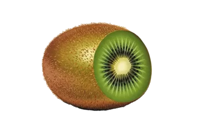 Imagen PNG para descargar